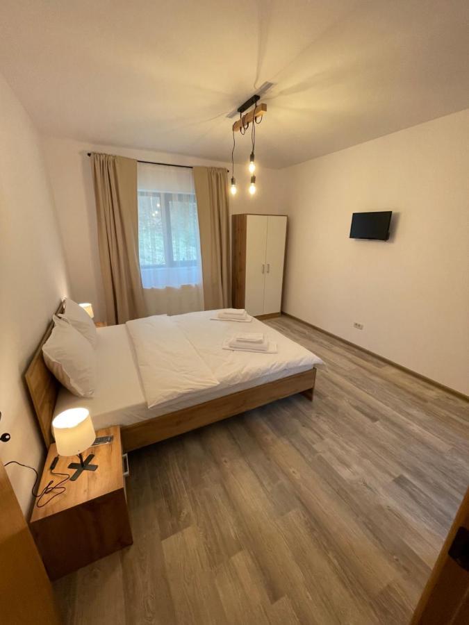 Cosy&Minimalistic Apartments - Haret Building Sinaia Exterior photo