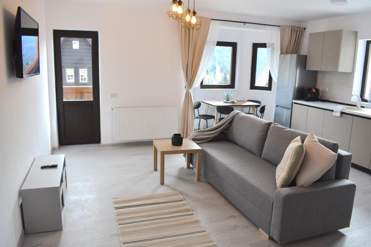 Cosy&Minimalistic Apartments - Haret Building Sinaia Exterior photo