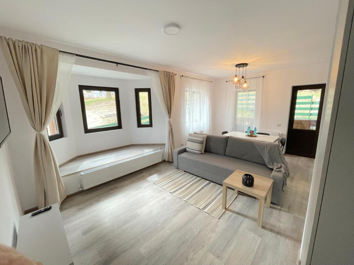 Cosy&Minimalistic Apartments - Haret Building Sinaia Exterior photo